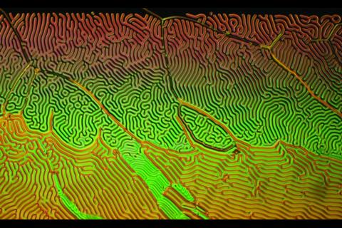 Wedge cell
